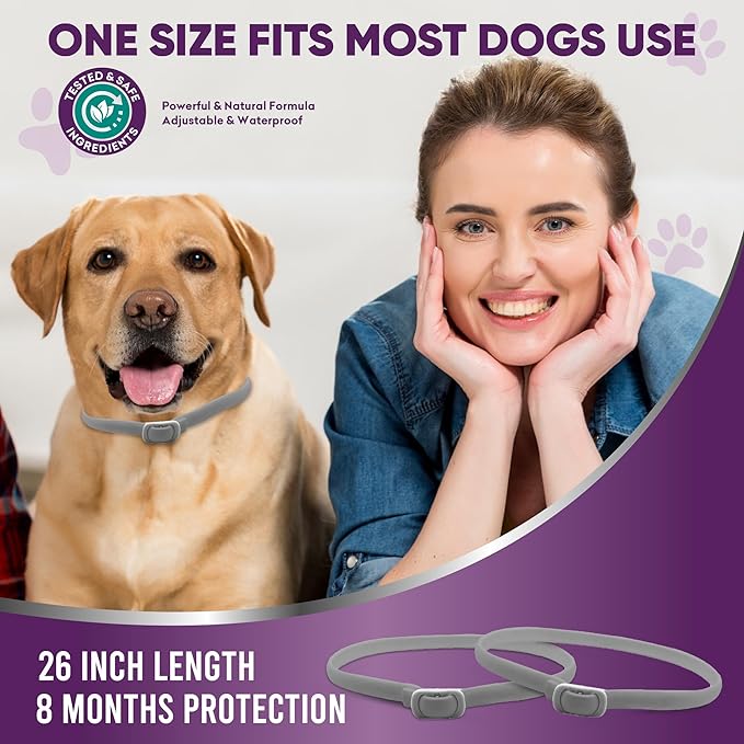 Flea Collar for Dogs – 8-Month Natural Flea & Tick Prevention, Adjustable One Size Fits All, Safe and Effective Dog Flea Collar