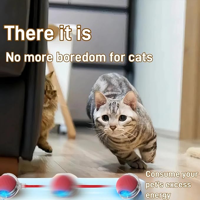Interactive Cat Toy Ball, Active Smart Rolling Balls for Cat, Electric Toy Balls for Indoor Cats