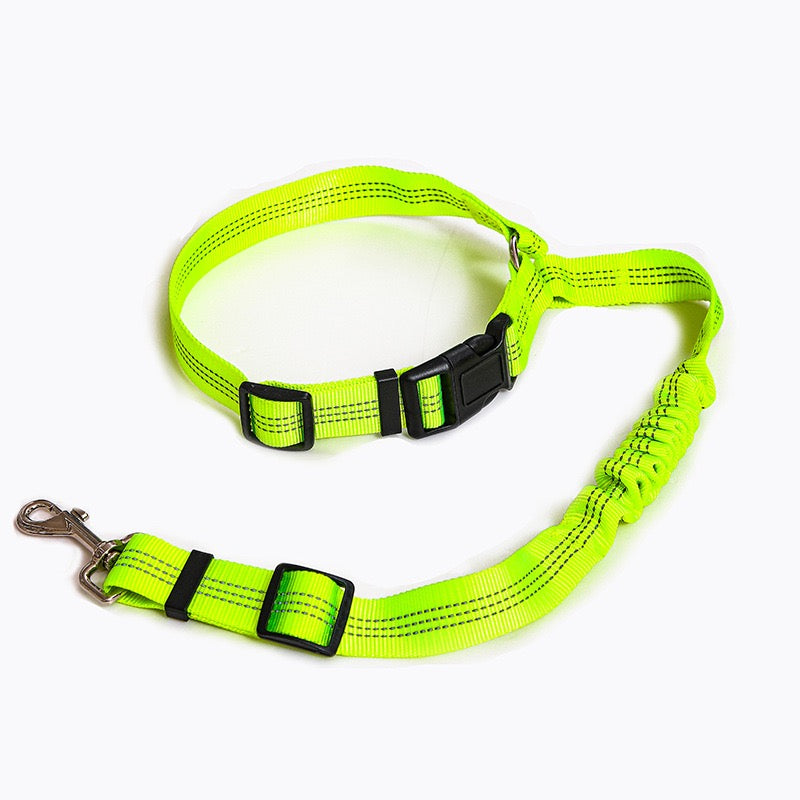 Universal 2-in 1 Retractable Car Seat Belt Designed for Pet with Adjustable Elastic Bungee Dog Leash [Compatible with Headrest and Seat Belt Clip]