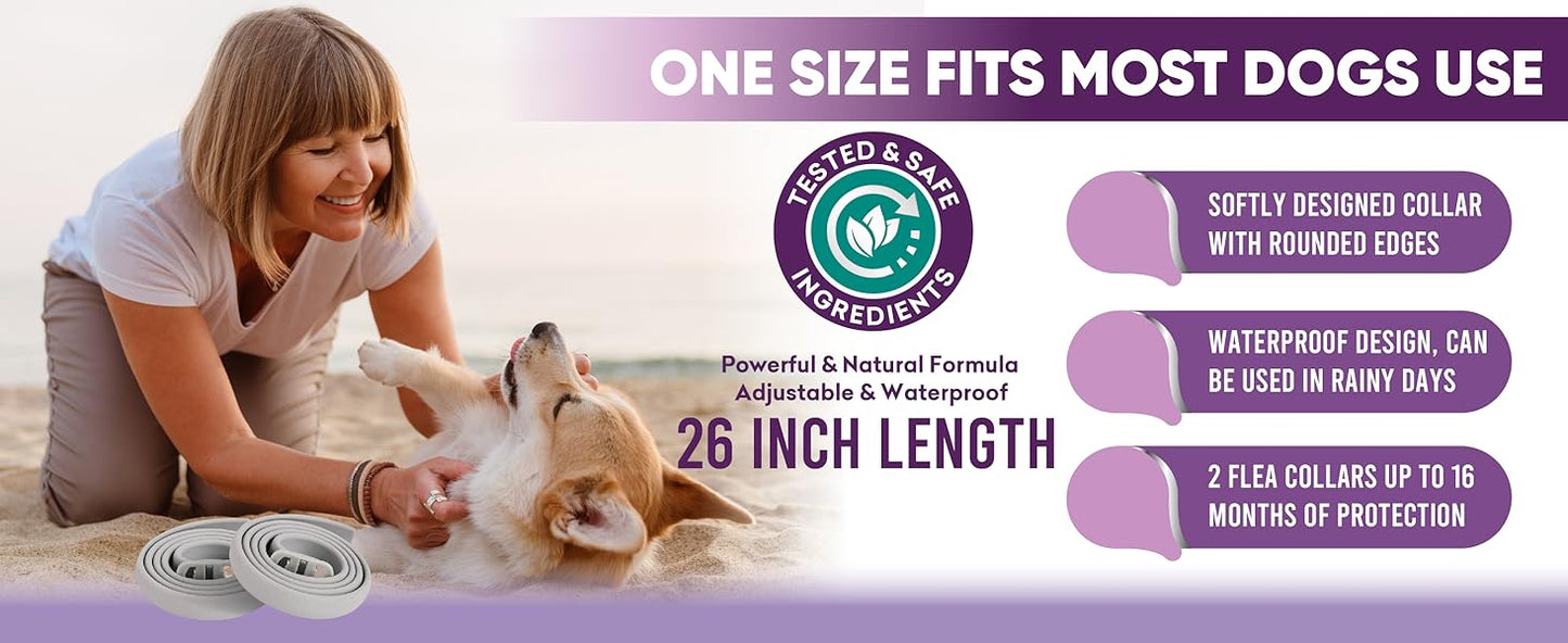 Flea Collar for Dogs – 8-Month Natural Flea & Tick Prevention, Adjustable One Size Fits All, Safe and Effective Dog Flea Collar