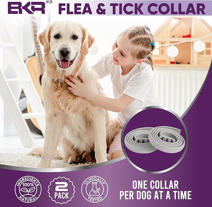 Flea Collar for Dogs – 8-Month Natural Flea & Tick Prevention, Adjustable One Size Fits All, Safe and Effective Dog Flea Collar