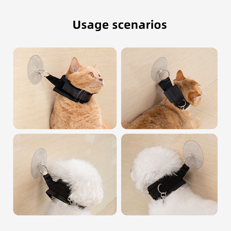 Pet Bathing Suction Cup Holder Dog Grooming Tool Cat Dog Bathing Leash Wall Mount Stabilize Pet
