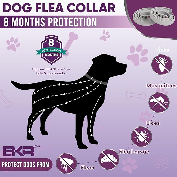 Flea Collar for Dogs – 8-Month Natural Flea & Tick Prevention, Adjustable One Size Fits All, Safe and Effective Dog Flea Collar