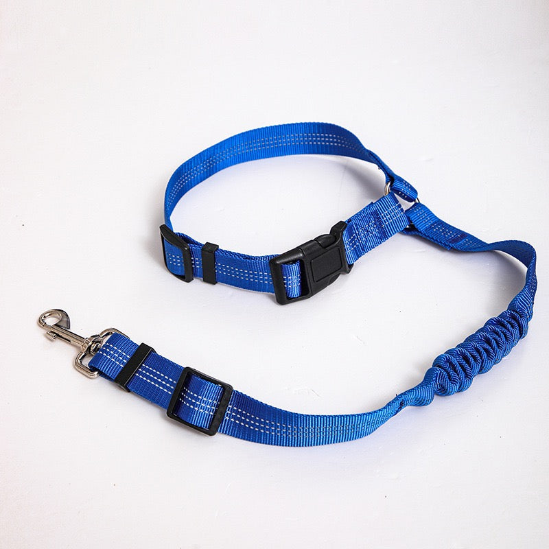 Universal 2-in 1 Retractable Car Seat Belt Designed for Pet with Adjustable Elastic Bungee Dog Leash [Compatible with Headrest and Seat Belt Clip]