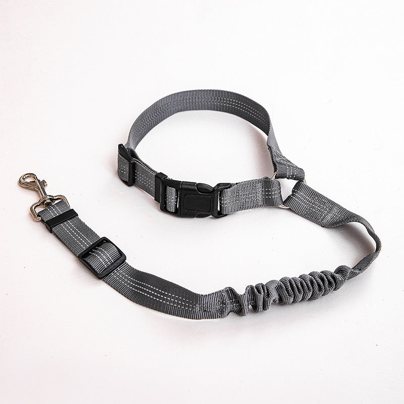 Universal 2-in 1 Retractable Car Seat Belt Designed for Pet with Adjustable Elastic Bungee Dog Leash [Compatible with Headrest and Seat Belt Clip]