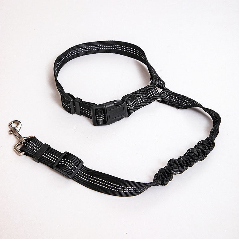 Universal 2-in 1 Retractable Car Seat Belt Designed for Pet with Adjustable Elastic Bungee Dog Leash [Compatible with Headrest and Seat Belt Clip]