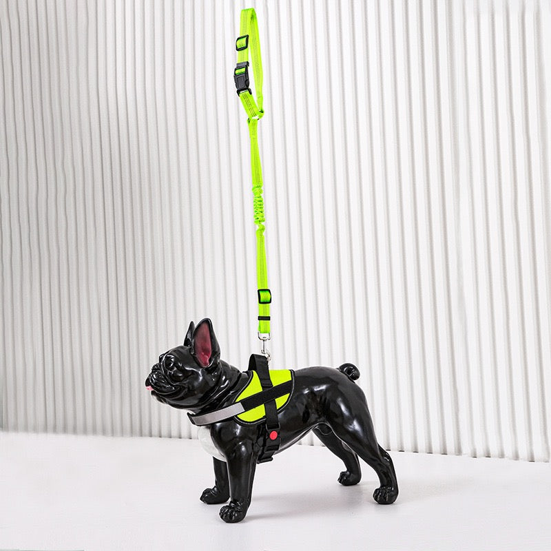 Universal 2-in 1 Retractable Car Seat Belt Designed for Pet with Adjustable Elastic Bungee Dog Leash [Compatible with Headrest and Seat Belt Clip]